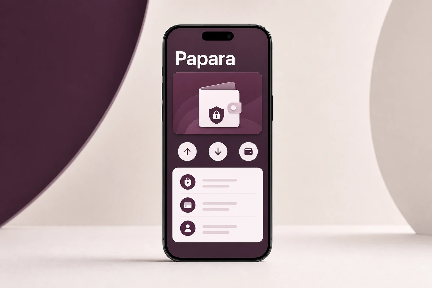 Papara 商品概念图